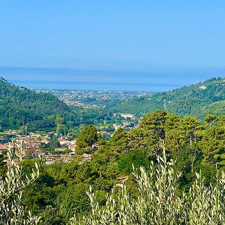 Casa Del Sole Bed and Breakfast Camaiore Εξωτερικό φωτογραφία