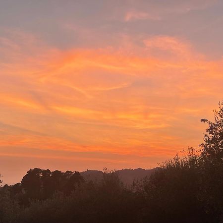 Casa Del Sole Bed and Breakfast Camaiore Εξωτερικό φωτογραφία