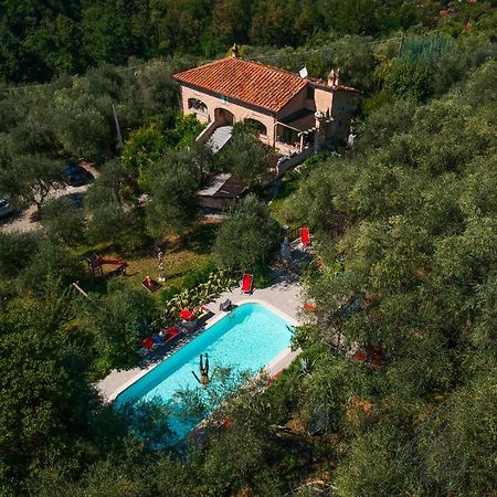 Casa Del Sole Bed and Breakfast Camaiore Εξωτερικό φωτογραφία