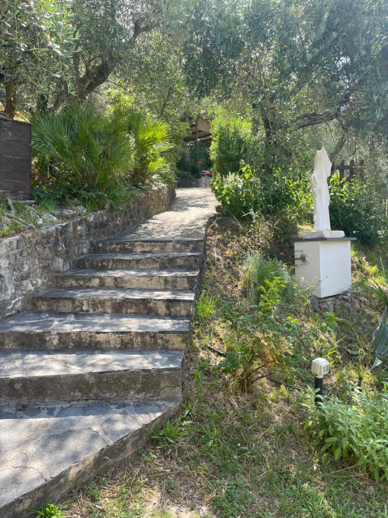 Casa Del Sole Bed and Breakfast Camaiore Εξωτερικό φωτογραφία
