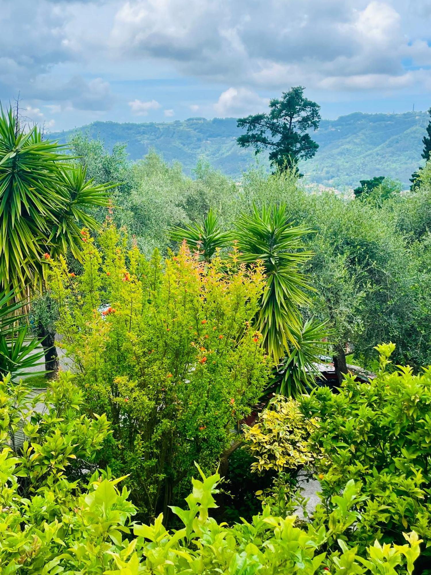 Casa Del Sole Bed and Breakfast Camaiore Εξωτερικό φωτογραφία